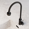 Смеситель для мойки Avrora Kitchen AV9001B, латунь, черный купить в СОМ