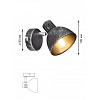 Спот RIVOLI EHO 7031-701, Е14 40Вт купить в СОМ