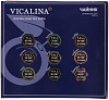 Чайник Vicalina 1,2+2л двойной  бежевый VL-AA02 купить в СОМ