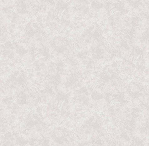 Обои виниловые на флизелиновой основе 585342 Victoria Stenova Peony, 1.06 х 10 м . купить в СОМ